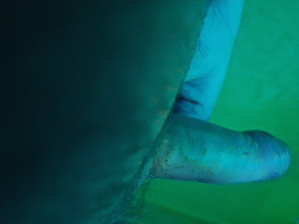 1000005119.jpg - Mlody1337