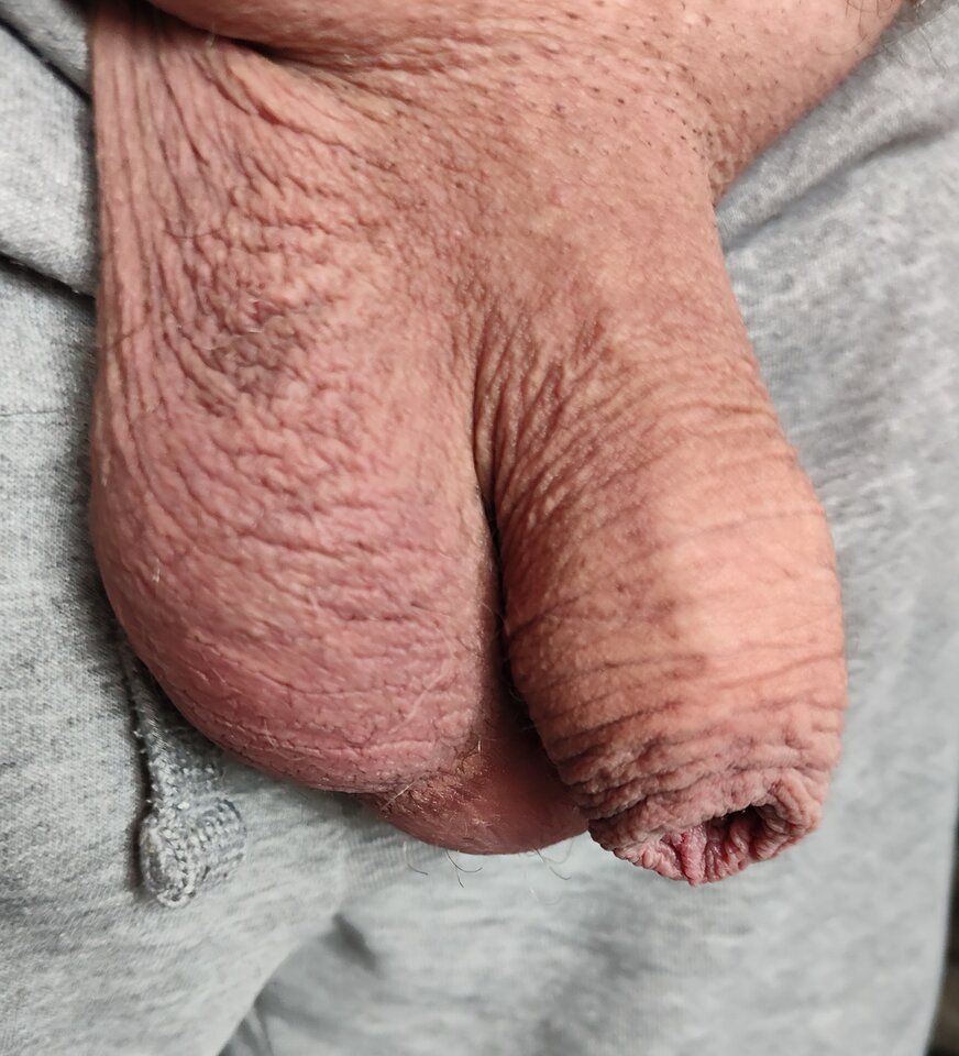 1000012091.jpg - jogan