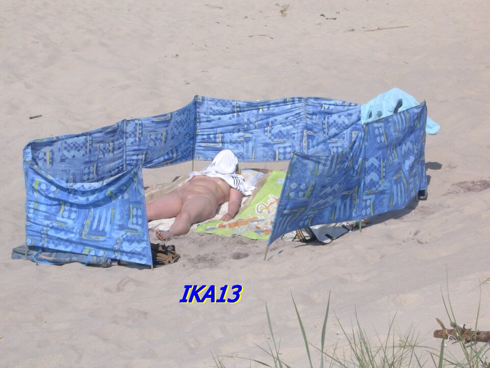 DSCN4250.JPG - ika13