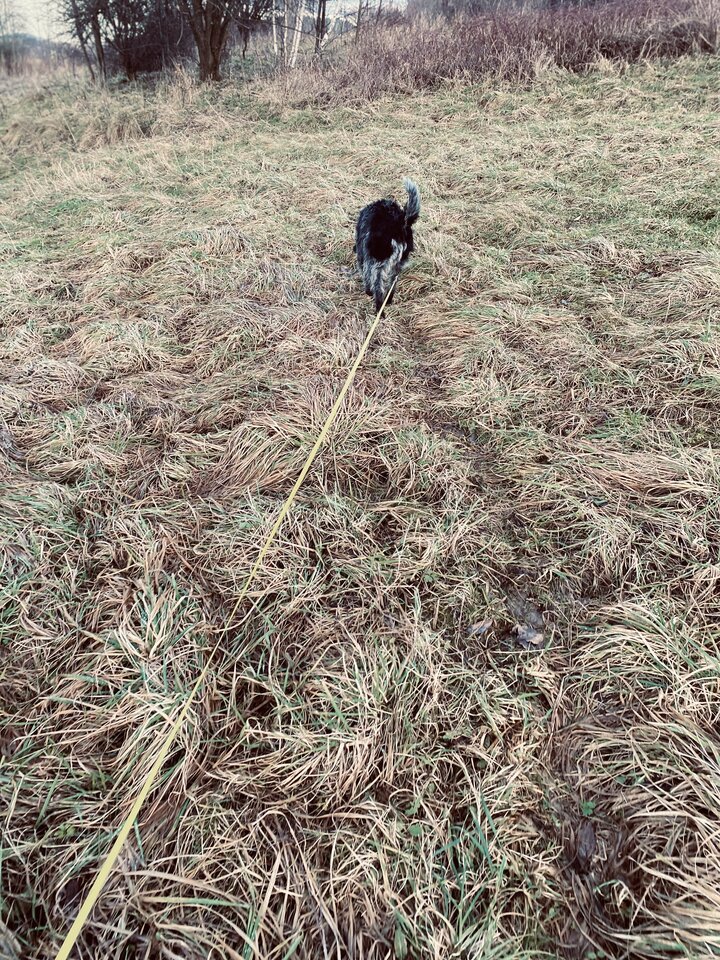 IMG_7882.jpeg - May_Day