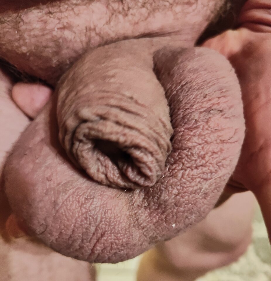 1000012236.jpg - jogan