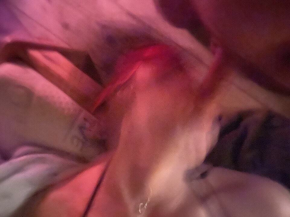 72584964525__4E0BB63B-A4FA-4A8C-BE46-EFEB11597C4E.jpeg - Ostrapara4330