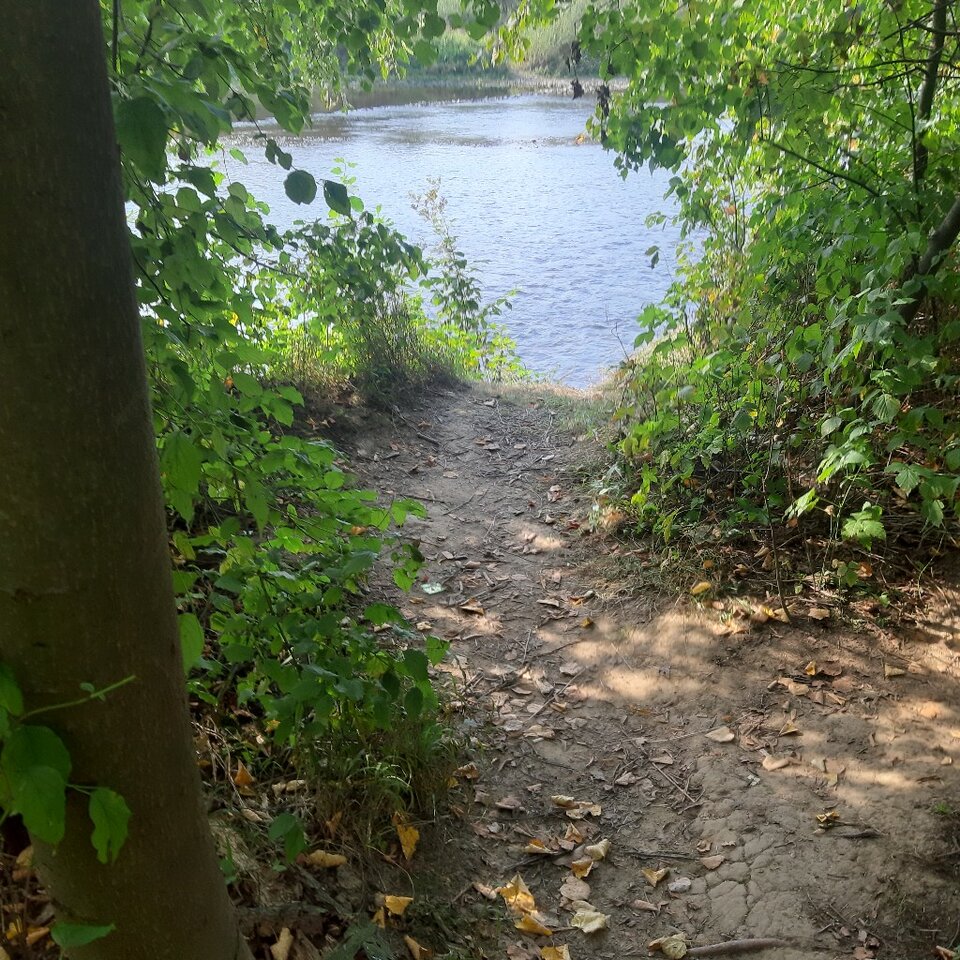20230913_145233.jpg - Ali70plus