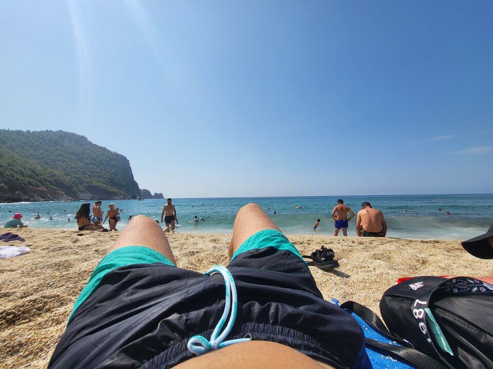 🏖️ - Bull_Cuck