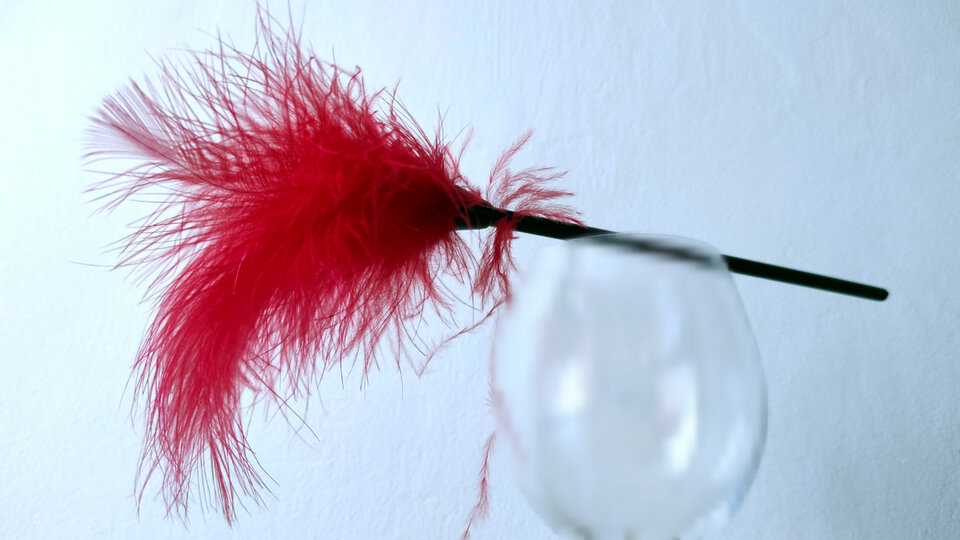 moje_piórko.jpg - nyks666