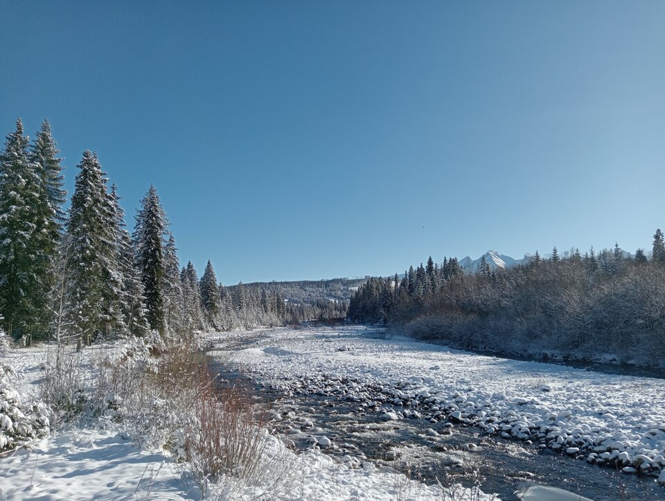 IMG20240109122752.jpg - tropiciel123