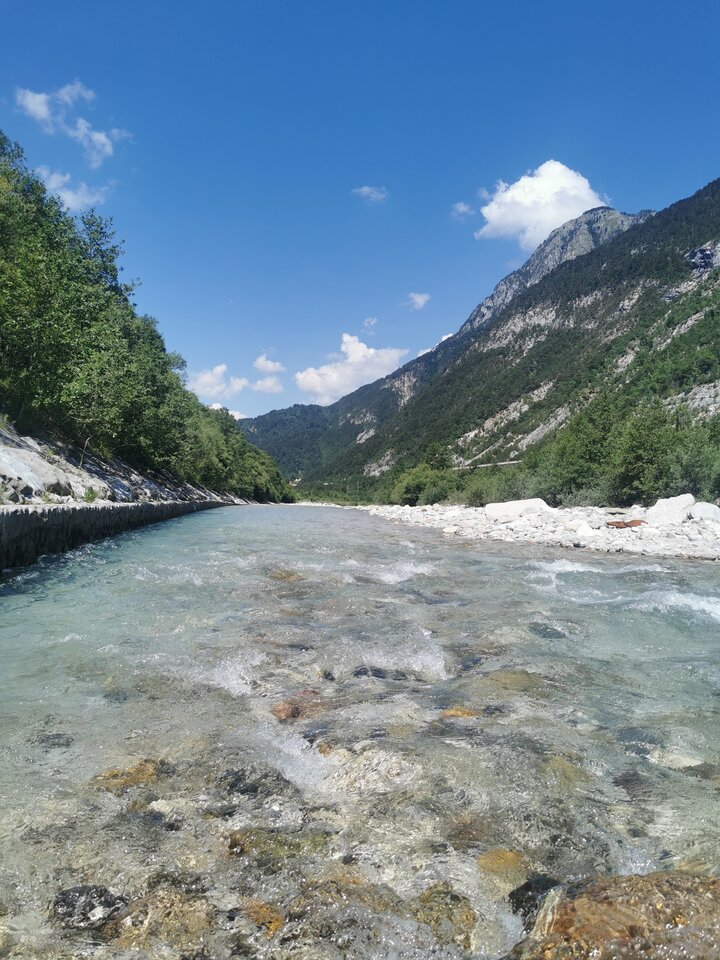 IMG_20220626_112034.jpg - Shakers69