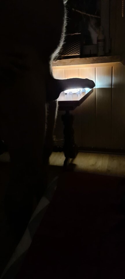 IMG-20240115-WA0001.jpg - berg40