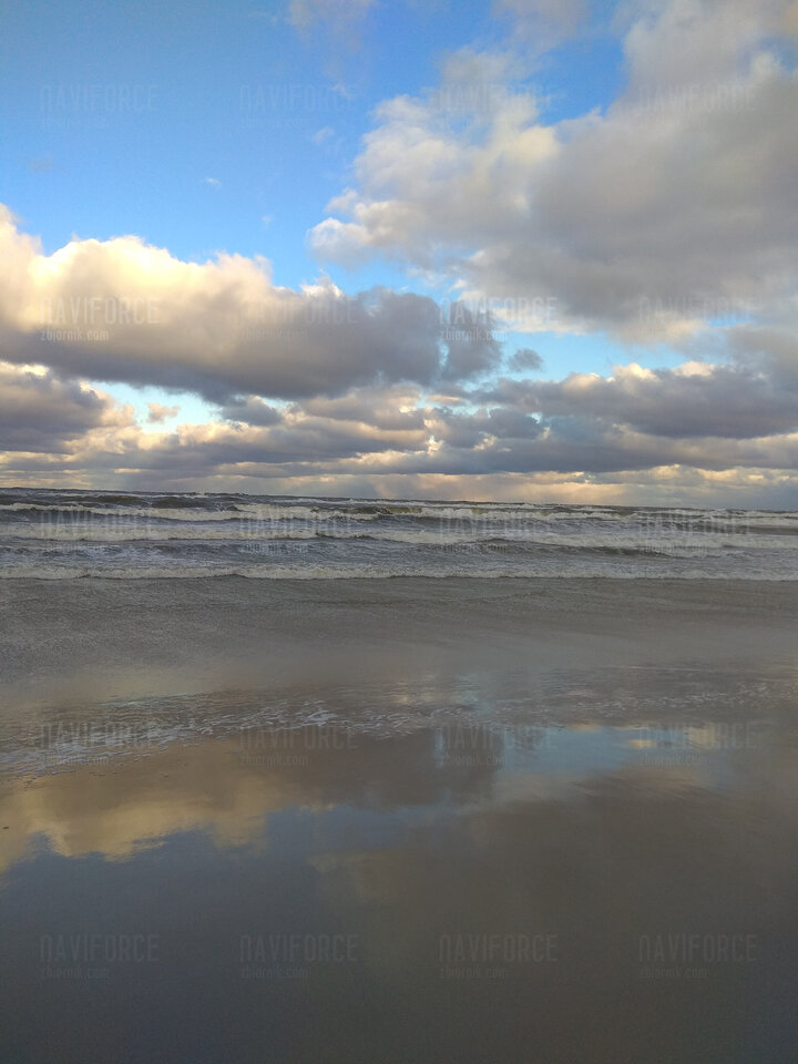 IMG_20240116_092447.jpg - naviforce