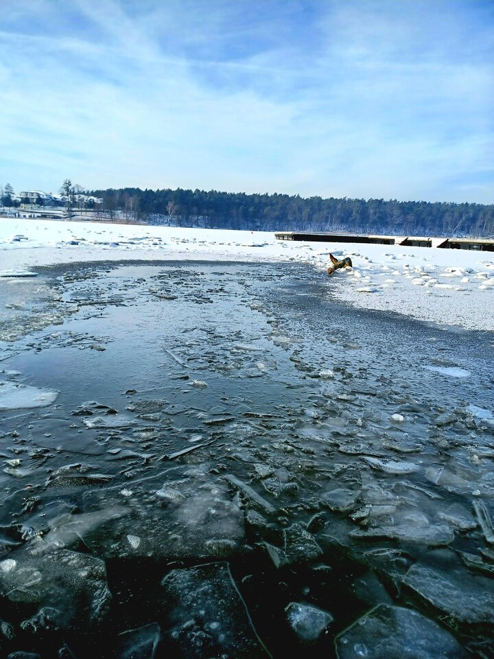 20240117_110544.jpg - Skorpion750