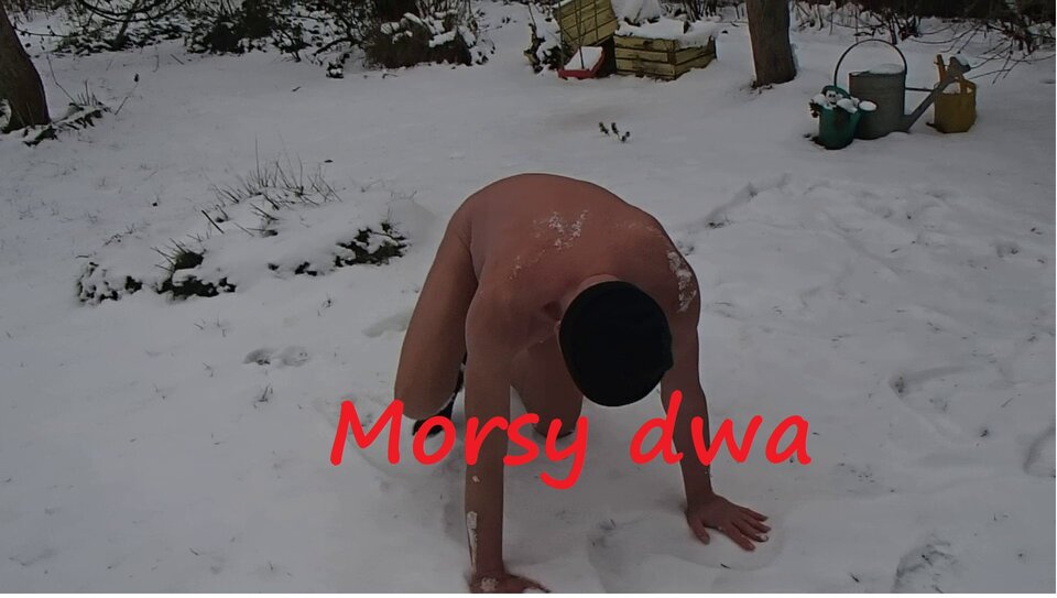 Zima. - Morsy_dwa