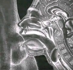 Screenshot_20240116_165219_com.grindrapp.android_edit_4062291903