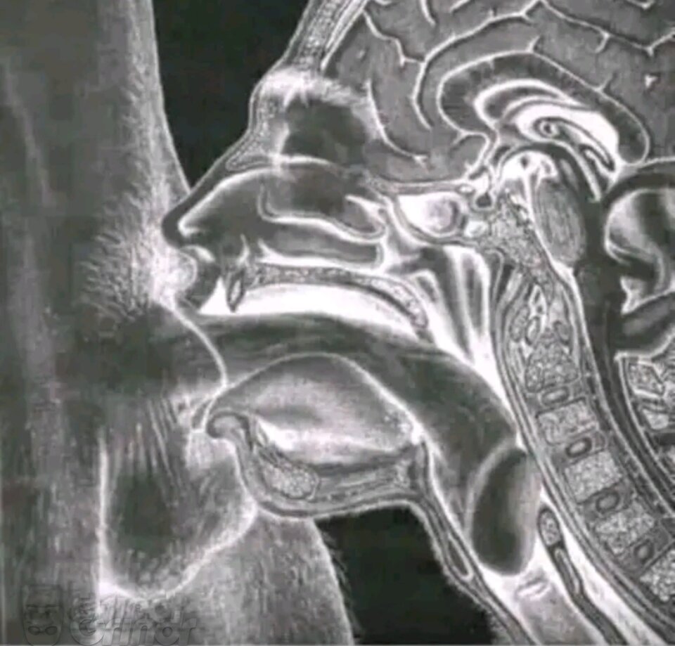 Screenshot_20240116_165219_com.grindrapp.android_edit_4062291903 - SpeedyGonzales8