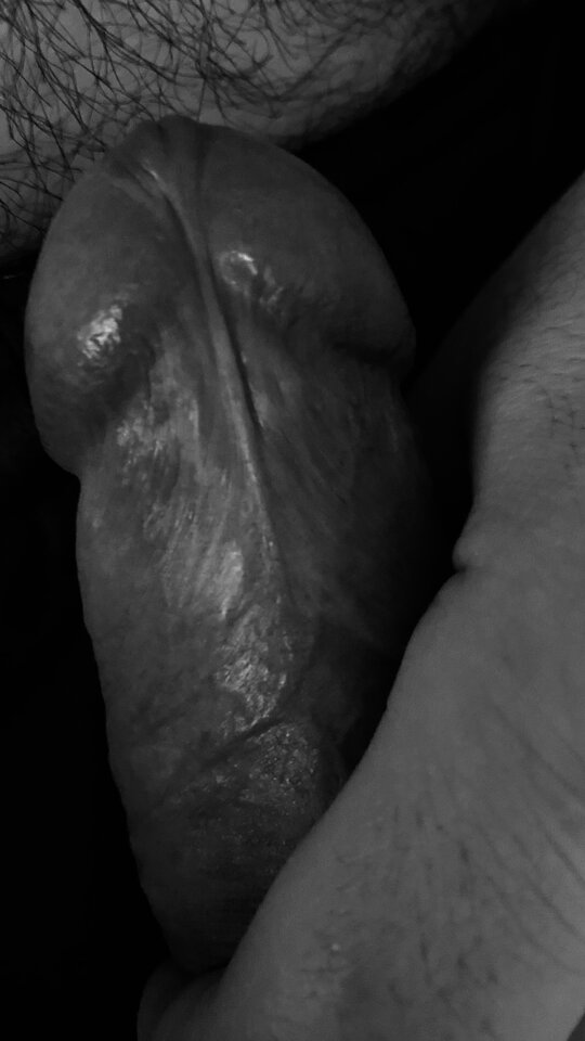 IMG_1516.jpeg - bondjames728