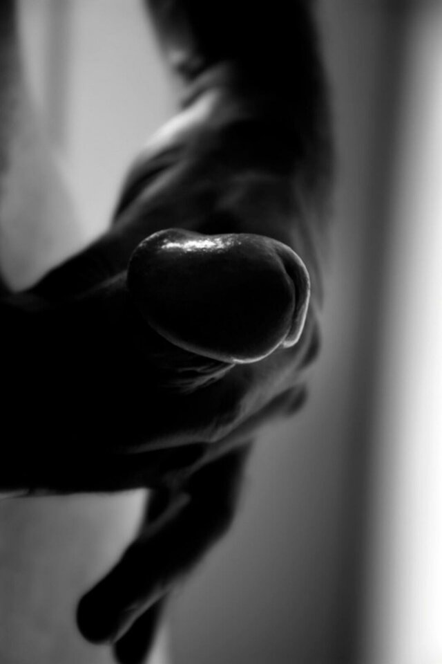 img-3a136896.jpeg - Pascalfoto