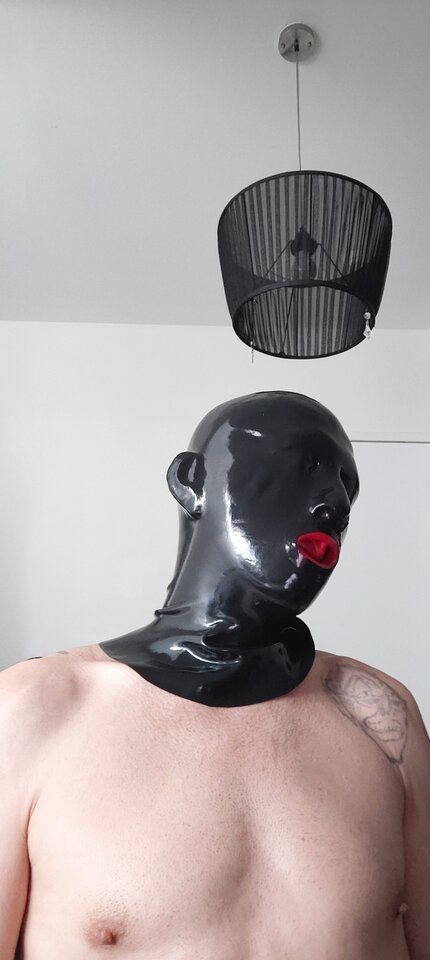 IMG20230508163651_Original.jpeg - Ppies