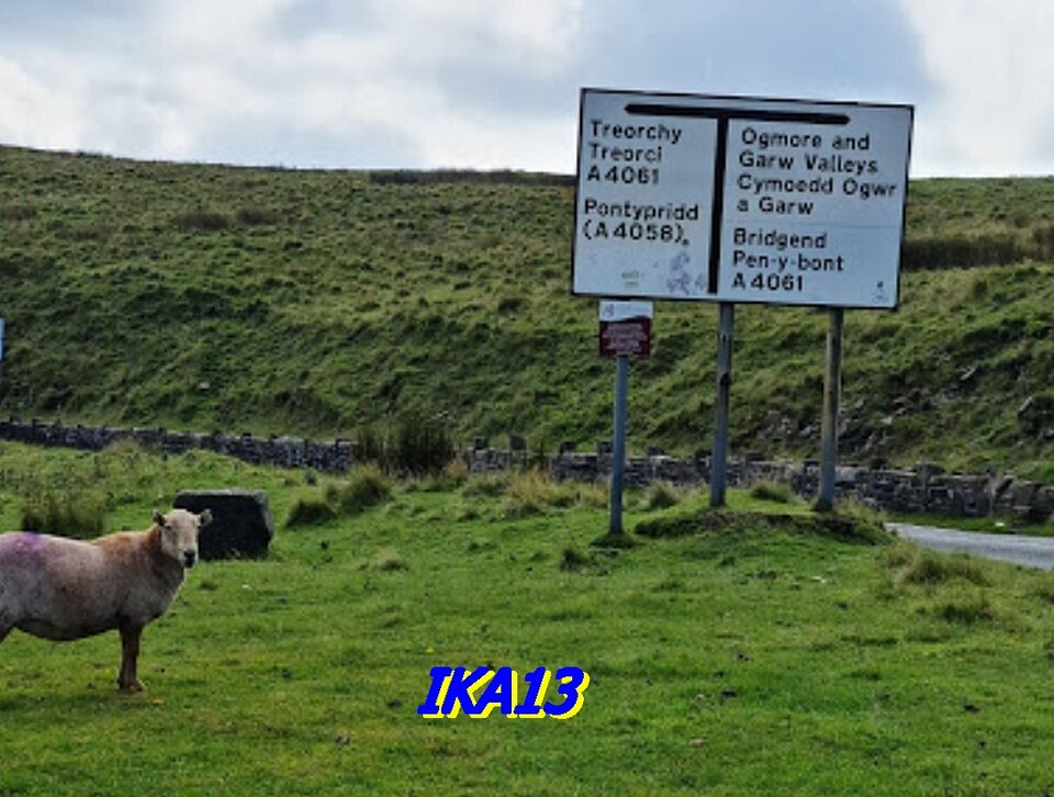 20237618_213322.jpg - ika13