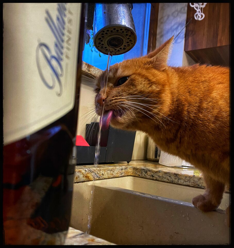 😻🥃😂 - serialowapara19782