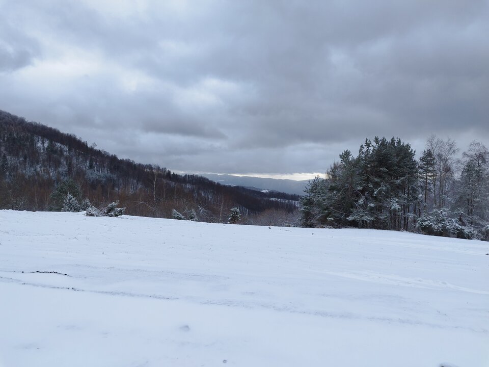 IMG_20240126_112128.jpg - Gimlii73