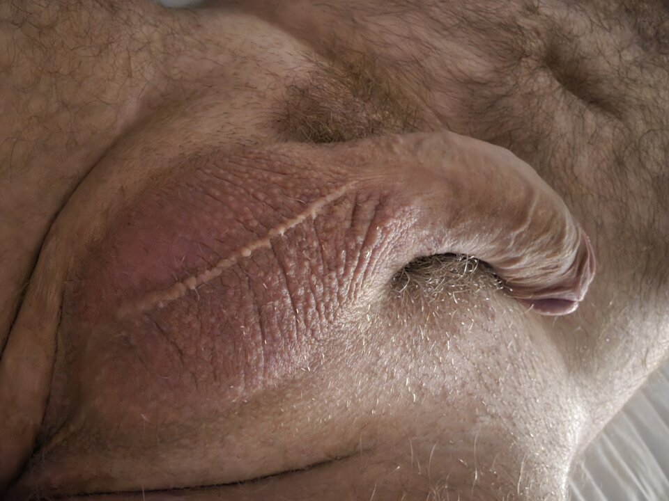 1000017937.jpg - bujakabujaka