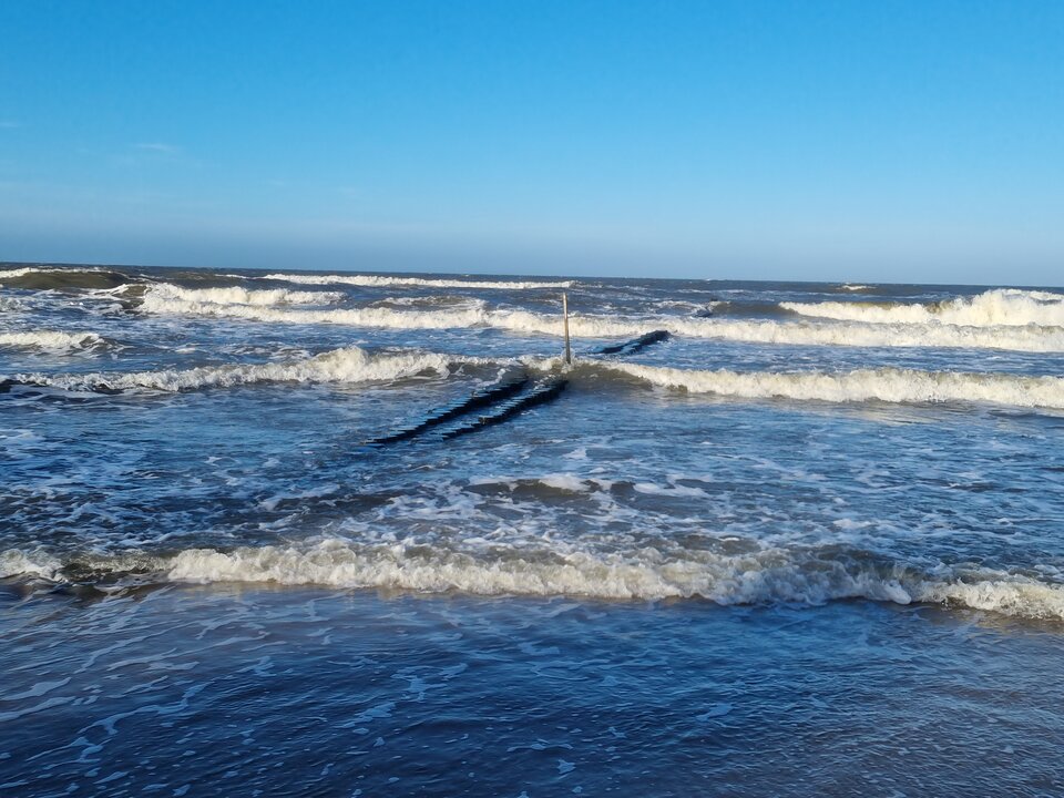 1000007692.jpg - krisone0000