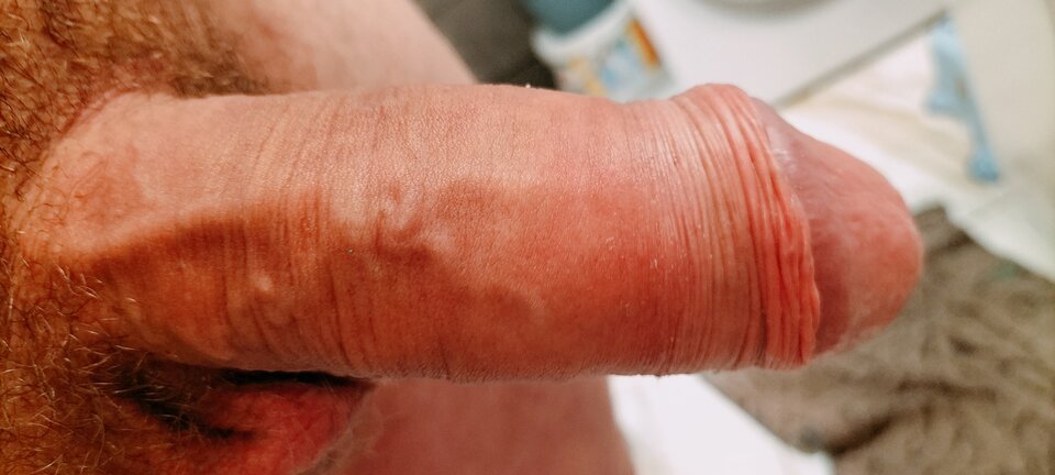 IMG20240127194648.jpg - Pysiupysiek