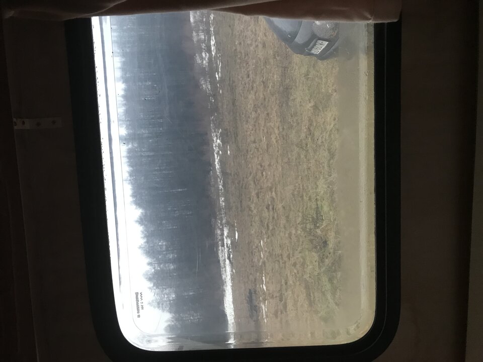 11DE5ECE-5C26-4D35-A29C-16C4C86FA5F1.jpeg - Aniolmak