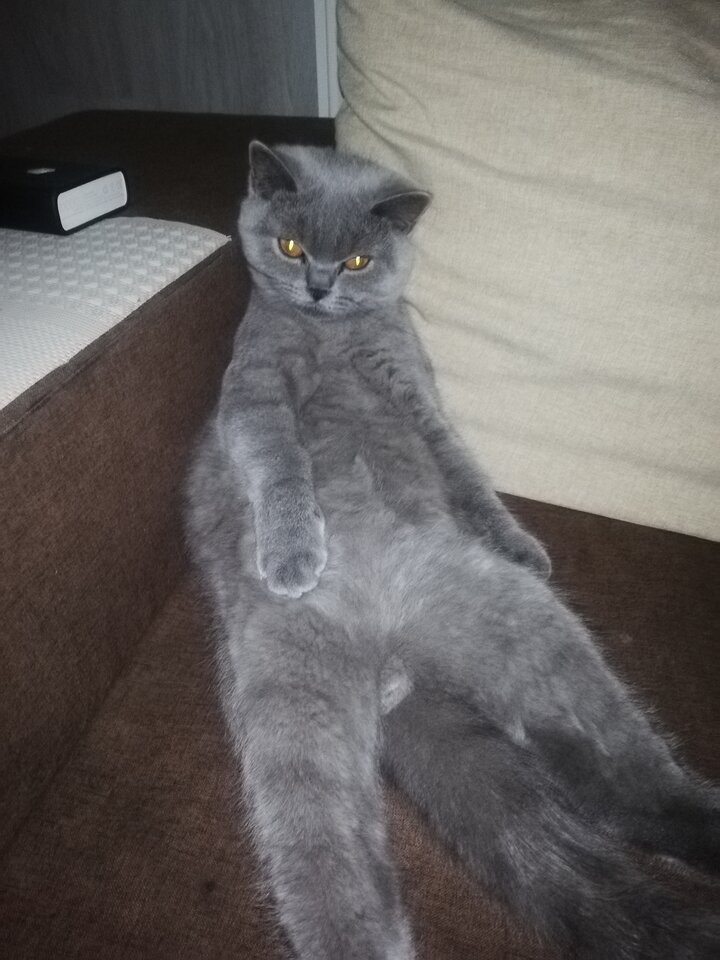 IMG_20240130_174534.jpg - stan987