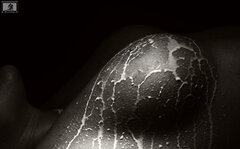 Cream Patterns WM 1815.JPG