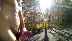 Zabrze 20231015_141432A.mp4_snapshot_00.04.721.jpg