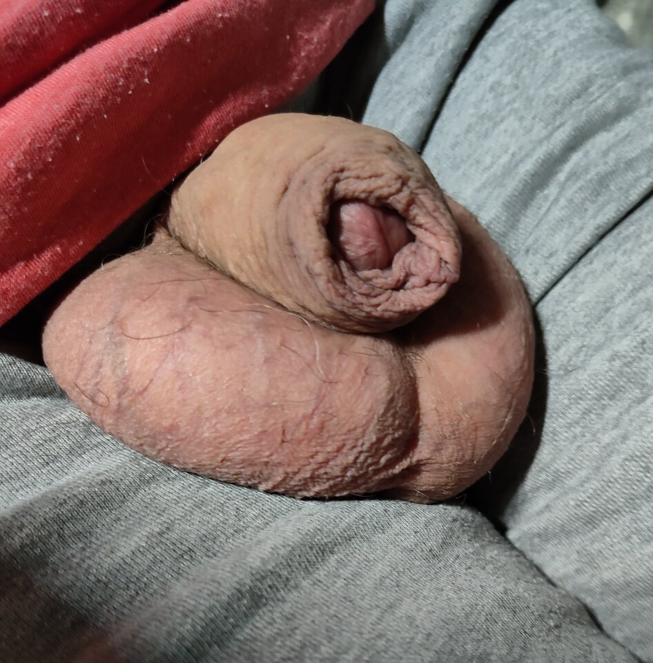 1000013174.jpg - jogan