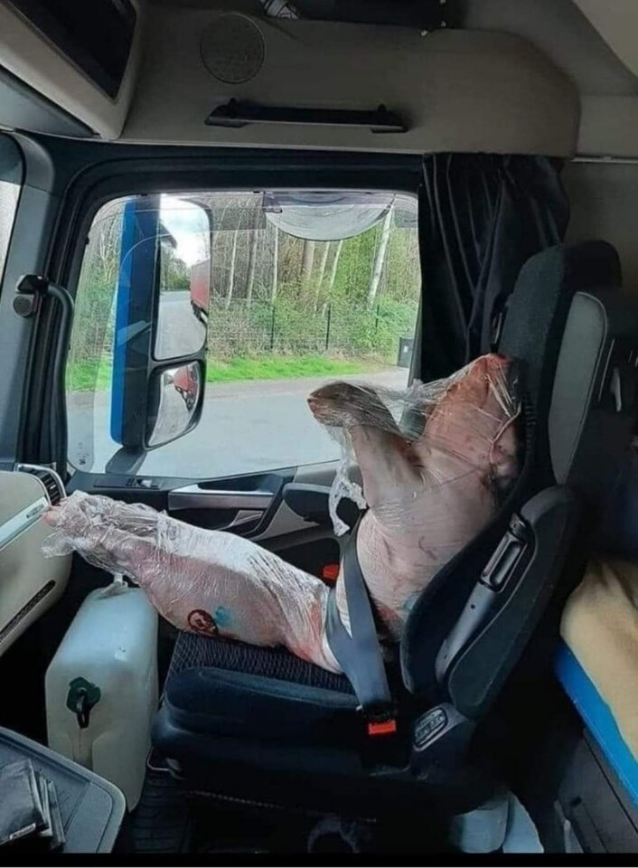 skaza 3.jpg - grabi_en