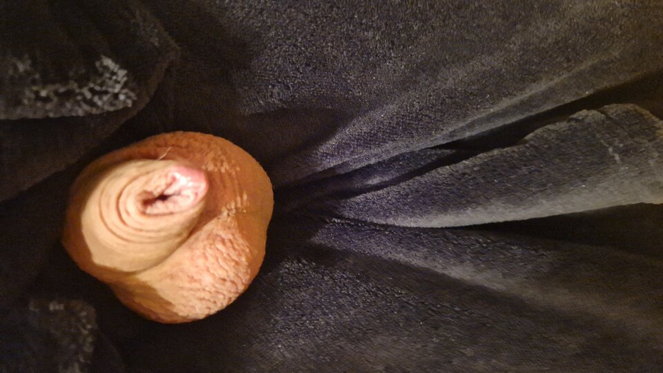 1000587526.jpg - Bart88d