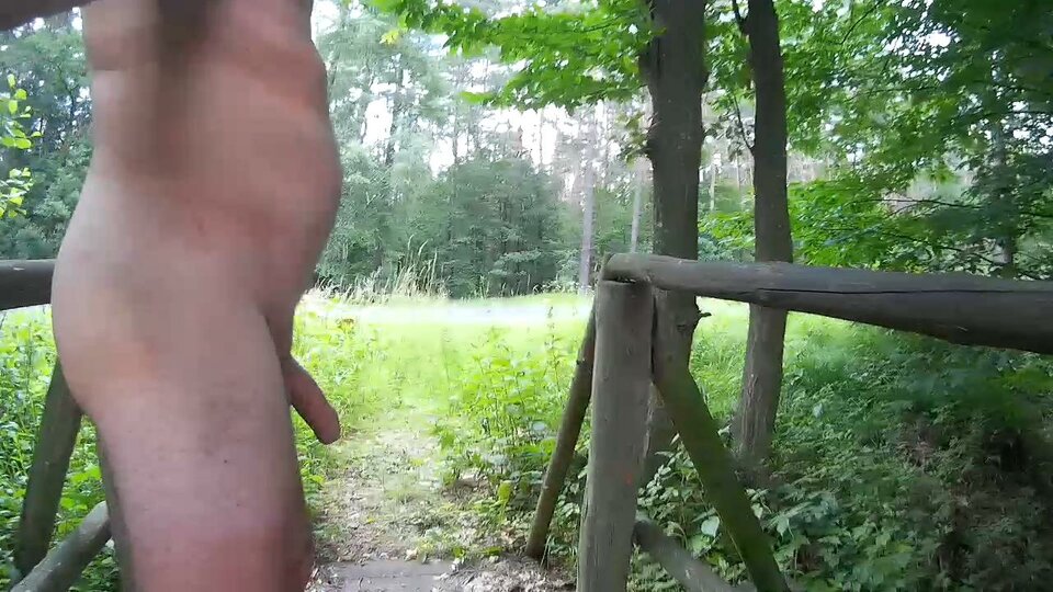 14570005.MOV_snapshot_00.00_[2018.07.01_15.38.09].jpg - Krzysztof_cfnm