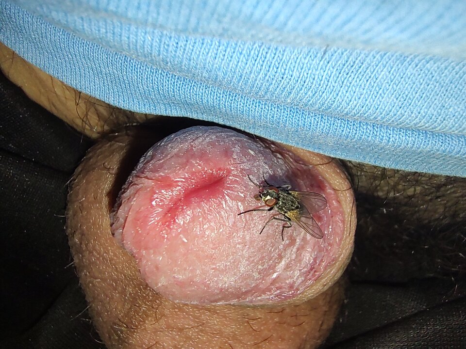 1000015915.jpg - Fiutkutaschujjaja