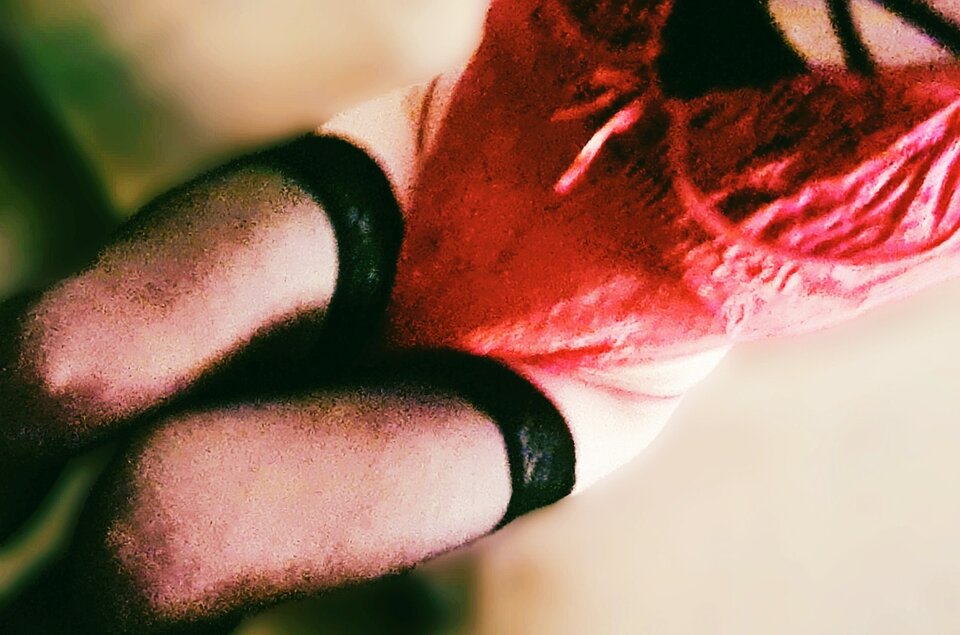 20240205-img_063154.jpg - kasiawrajstopach