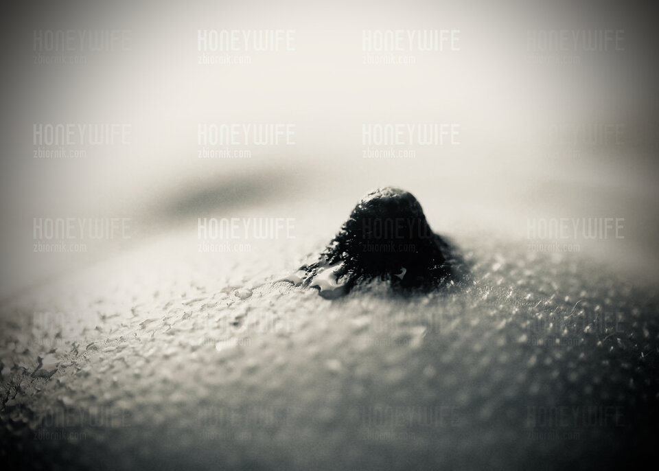 Honey Wife 56.jpeg - HoneyWife