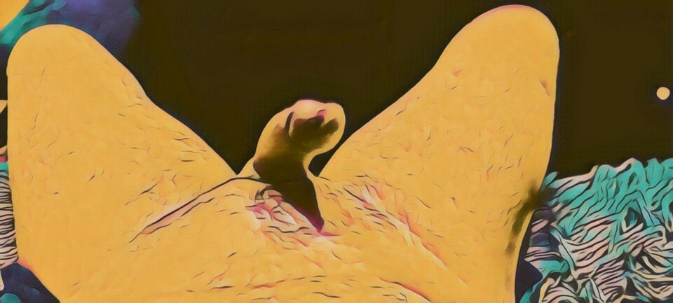 20240206_055458.jpg - anubis01