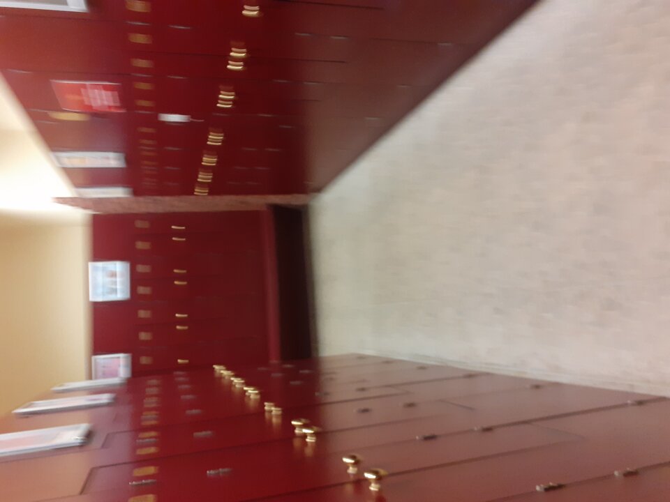 20240206_133548.jpg - sosnowieck