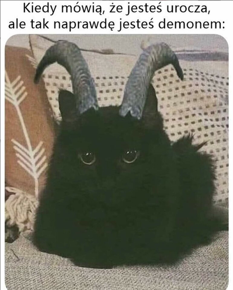 FB_IMG_1707299990525.jpg - 87urocza