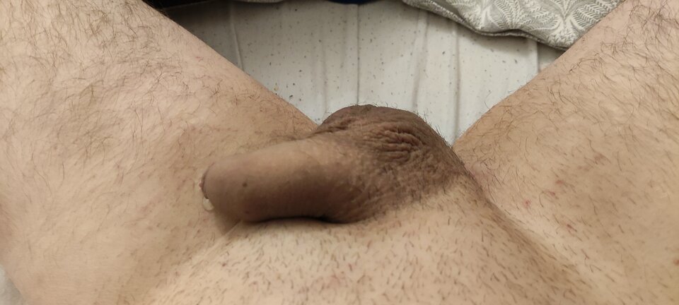 17073256467968427391304381217403.jpg - Pragne12