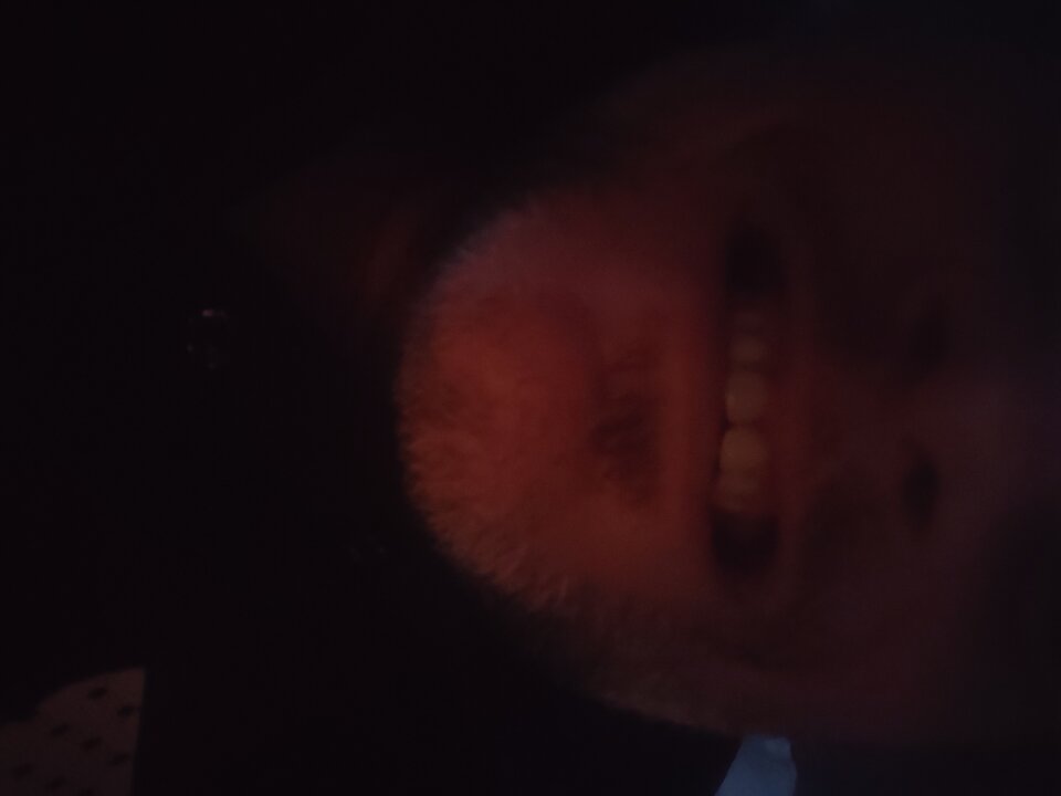 IMG_20240207_225206.jpg - Agrestowe_Pole