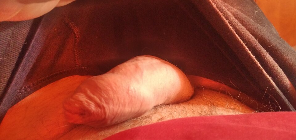 1707565922573692709315282176722.jpg - Hose198787