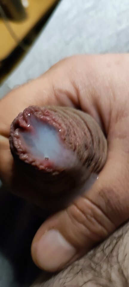 IMG_20240201_211119.jpg - PuszystyLubuskie