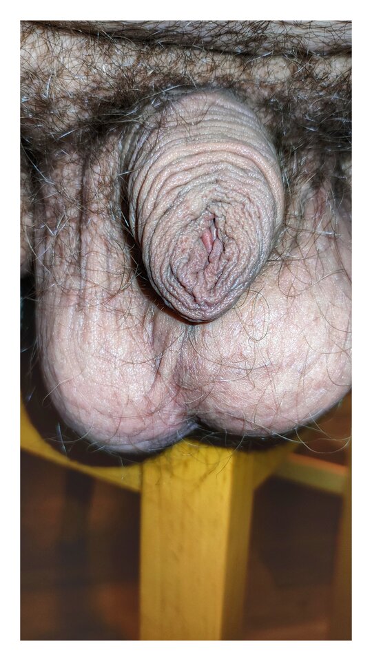 1000000947-01.jpeg - PuszystyLubuskie