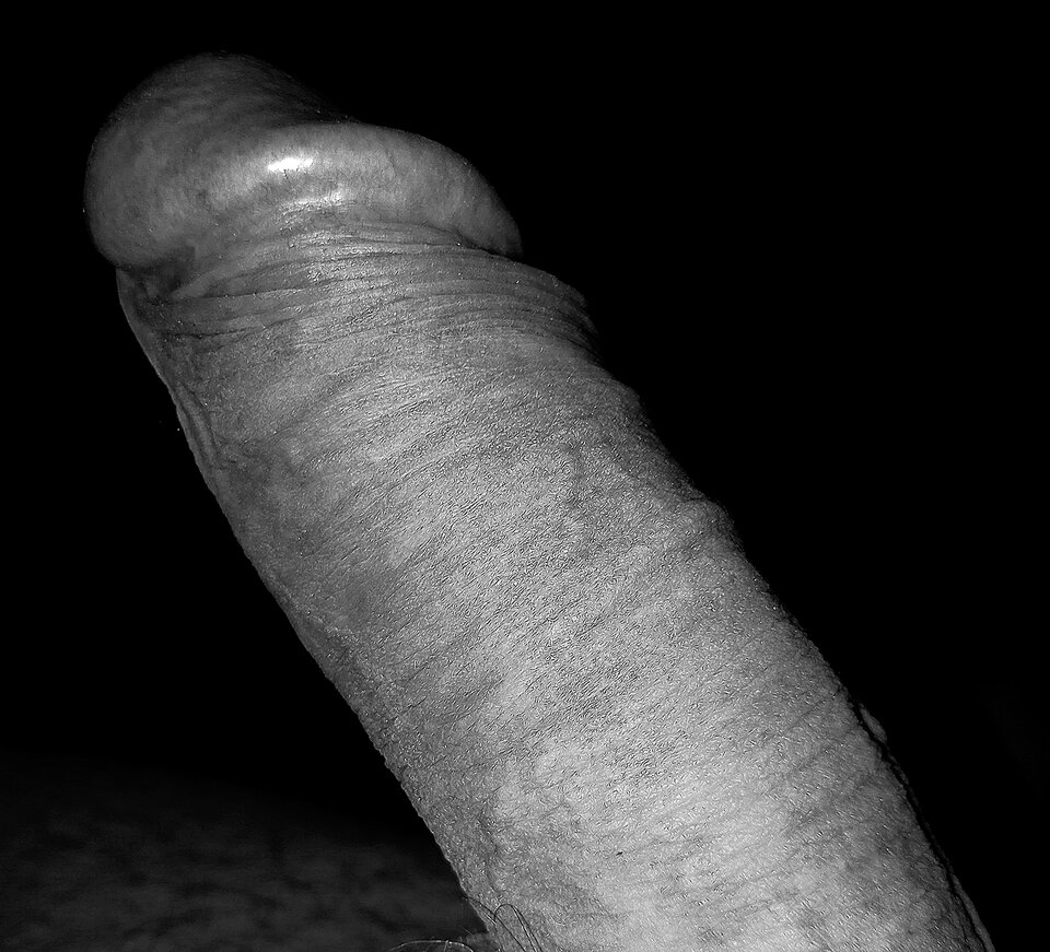 Polish_20240212_204451484.jpg - Andrzejek_72