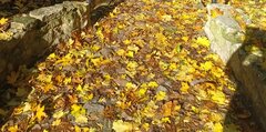 20231029_104849~2.jpg