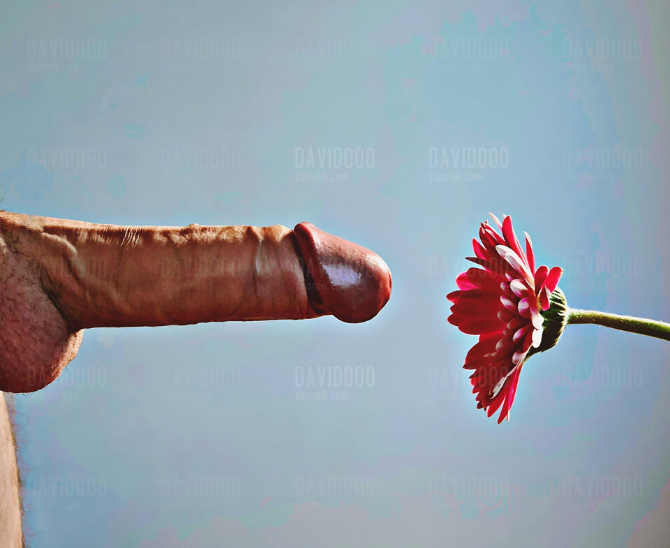 Valentine's day ❤️ - Davidooo