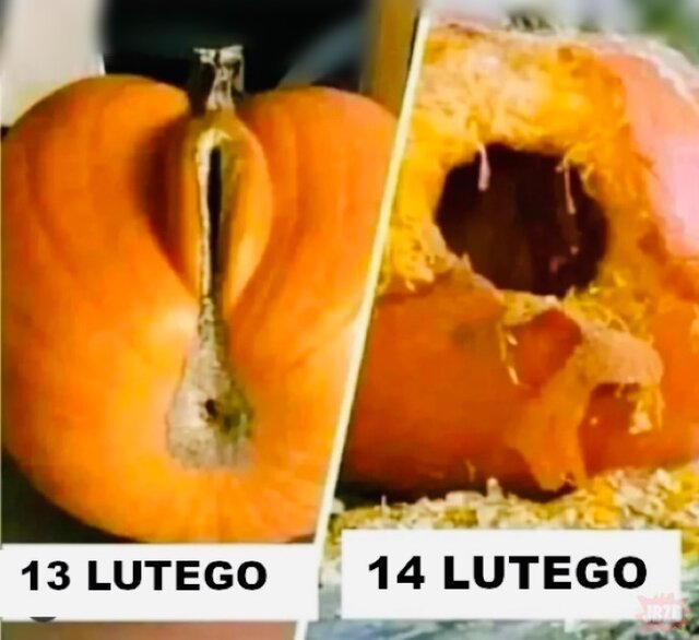 IMG_8530.jpeg - May_Day