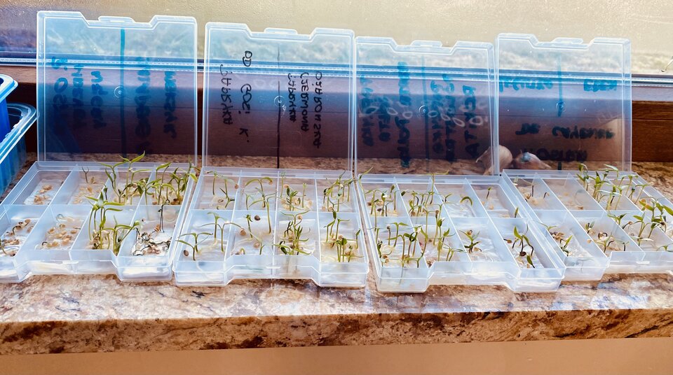 🫣 - serialowapara19782